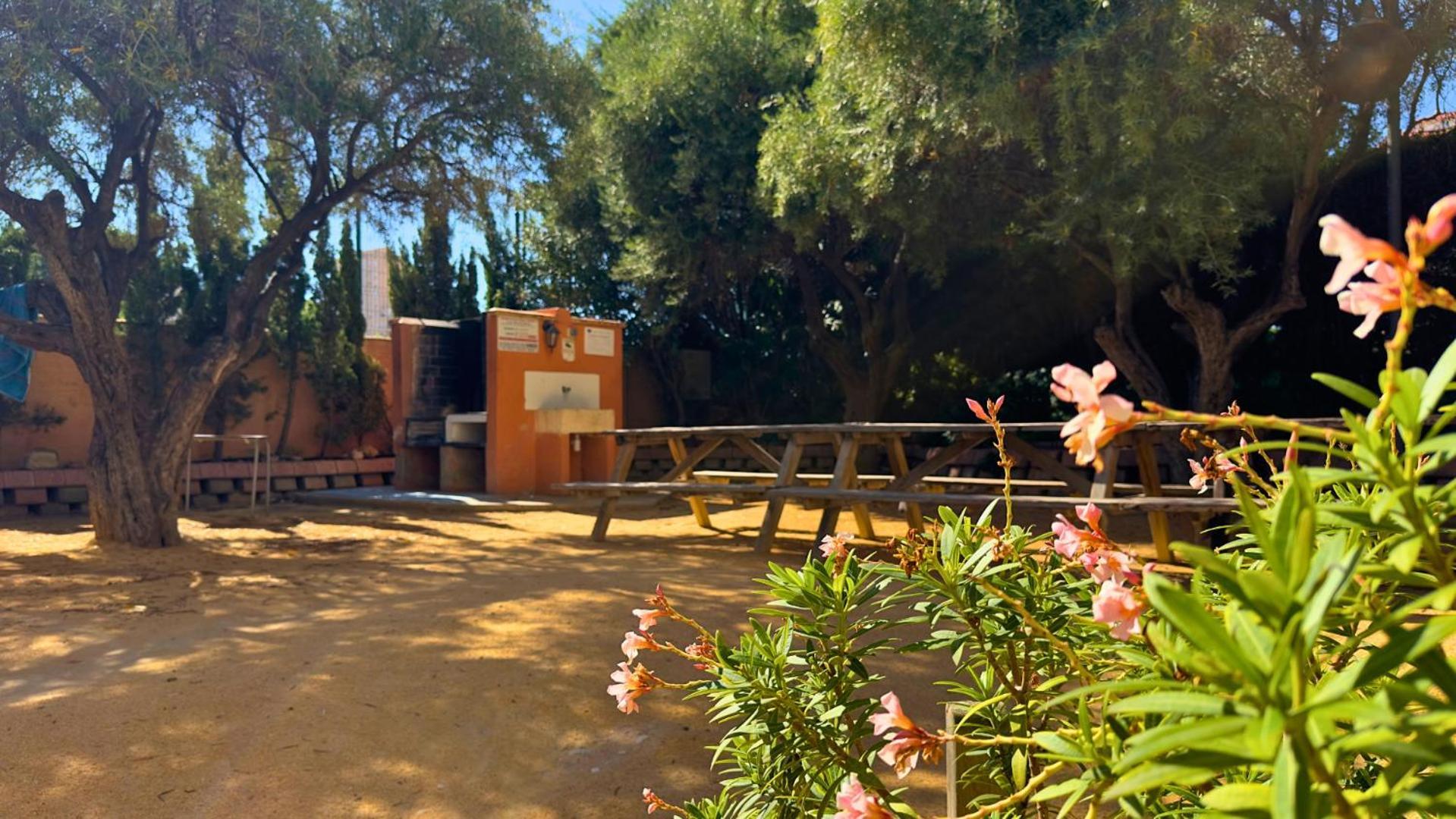 Atico A 50M Del Mar. Parking Gratis. A/C Lägenhet El Campello Exteriör bild